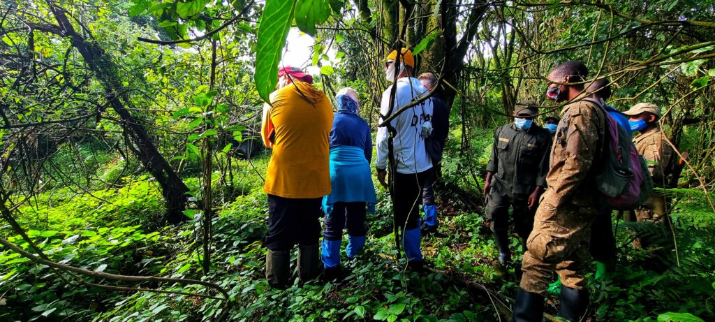Best Time to Visit Uganda and Rwanda