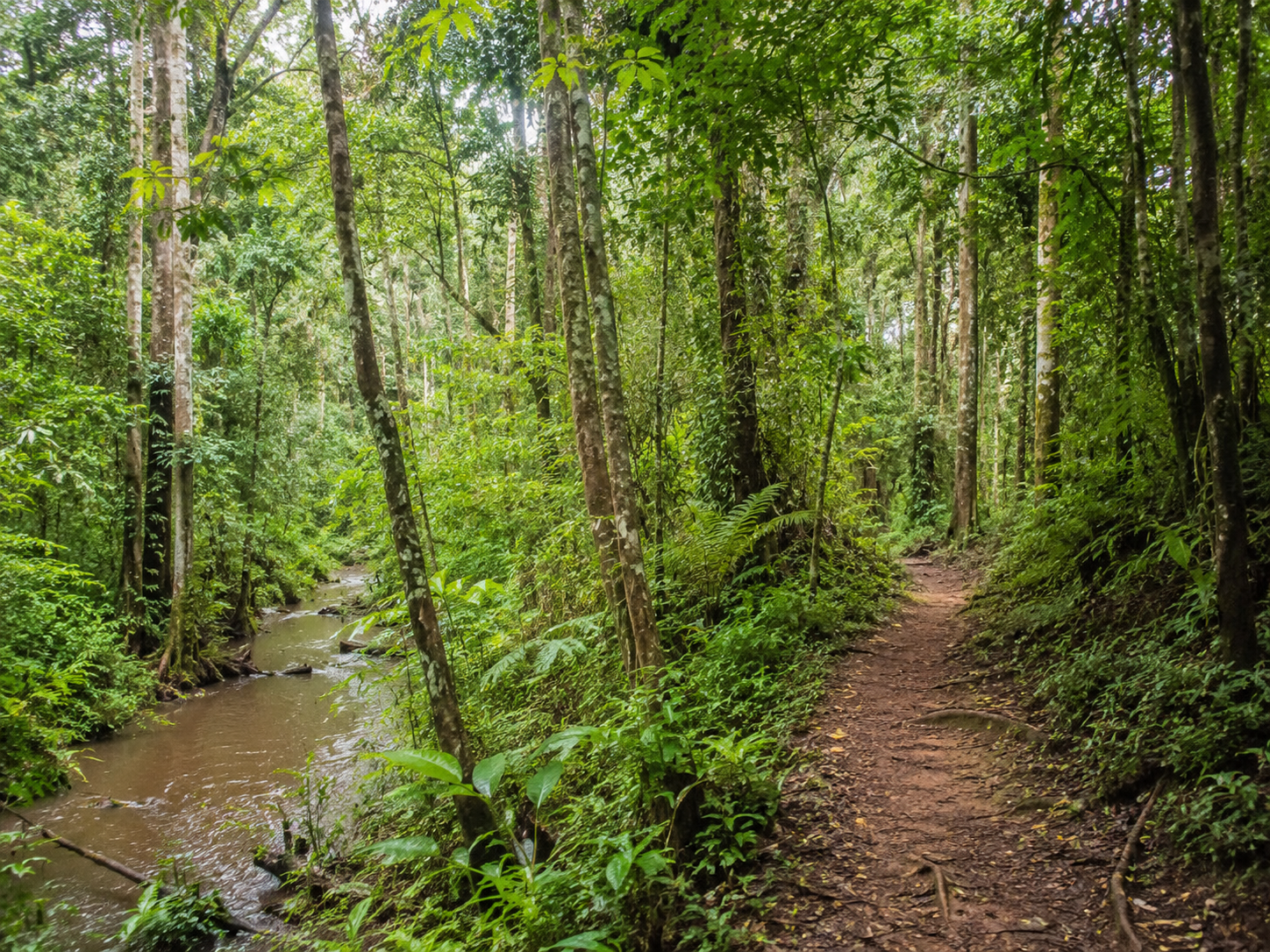 Kibale Forest National Park tourism destination