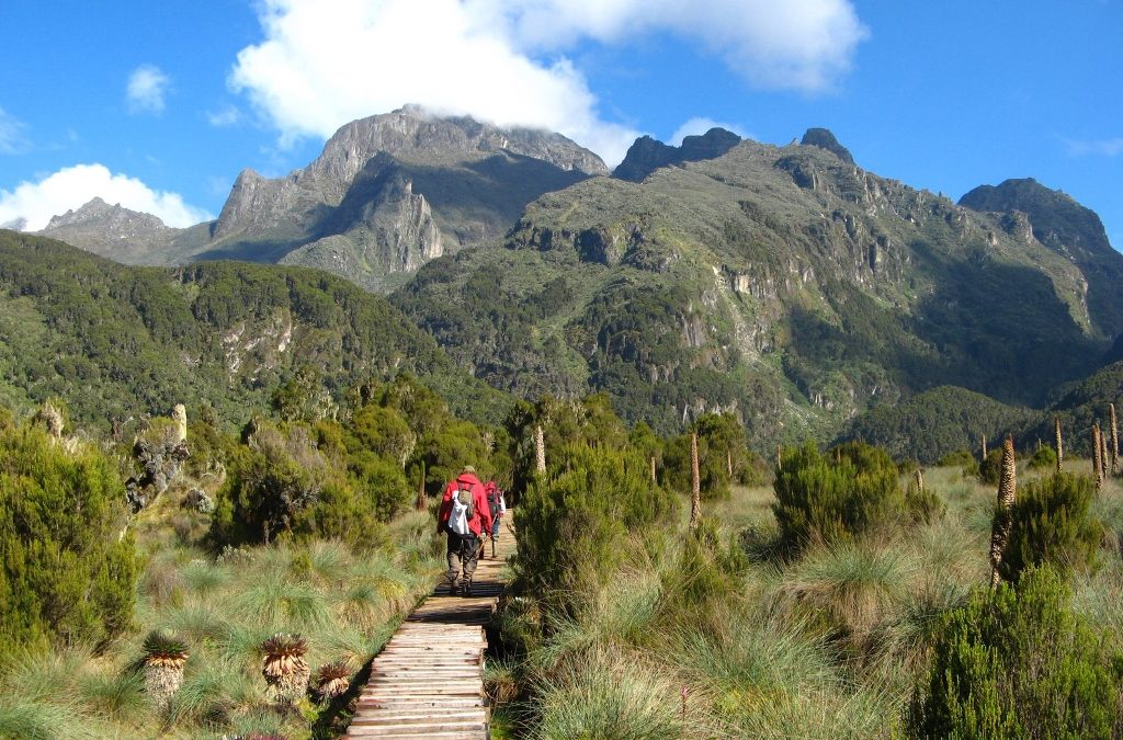 Mountain Elgon National Park Uganda
