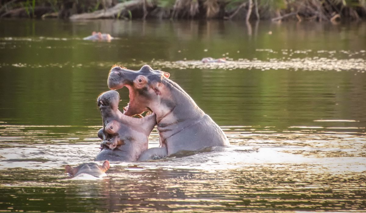 3 Days to Lake Mburo National Park