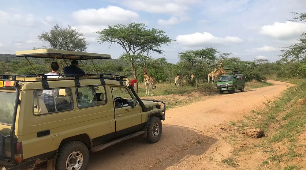 Uganda safari car rental on national park roads